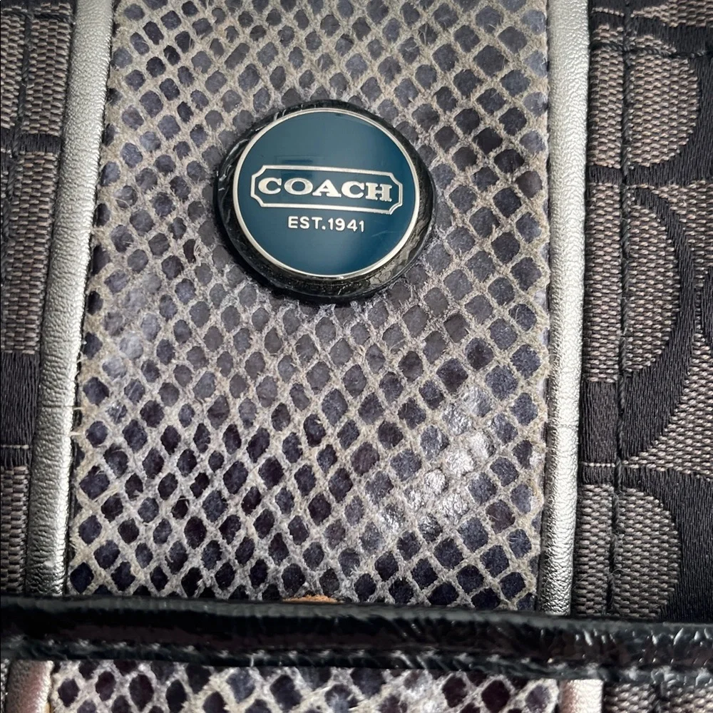 Coach Signature Python Stripe Tote Shoulder Canvas Bag (H1360 - F25706)